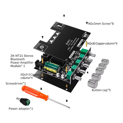 Carte Amplificateur ZK-MT21