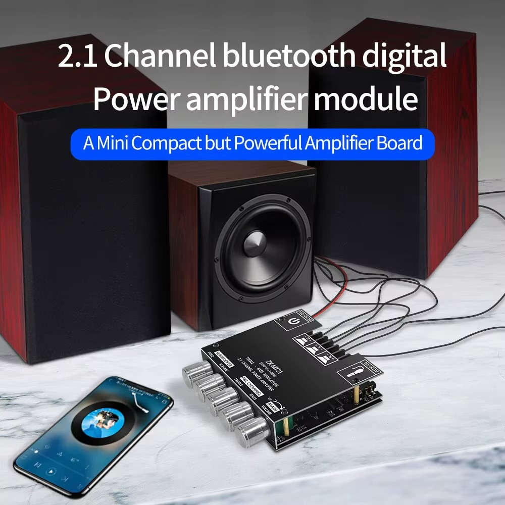 Carte Amplificateur ZK-MT21