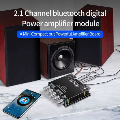 Carte Amplificateur ZK-MT21