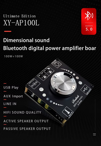 Amplificateur XY-AP100L